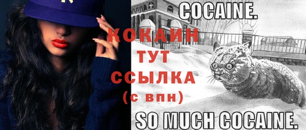 тгк Магадан