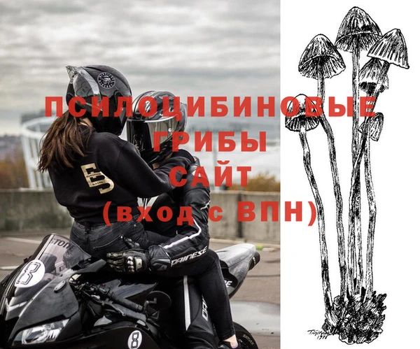 тгк Липки