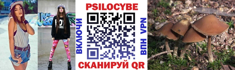 Купить где  Севск  Галлюциногенные грибы Psilocybine cubensis 